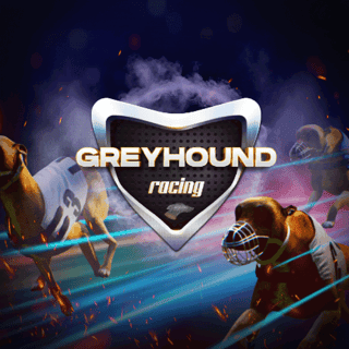 Virtual Greyhounds game thumbnail